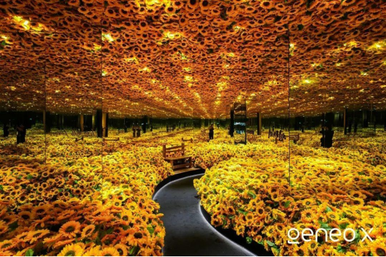 A11 科醫(yī)人Geneo X攜手 梵高再現(xiàn)Van Goth Alive 科技與藝術(shù)美學的完美跨界319.png